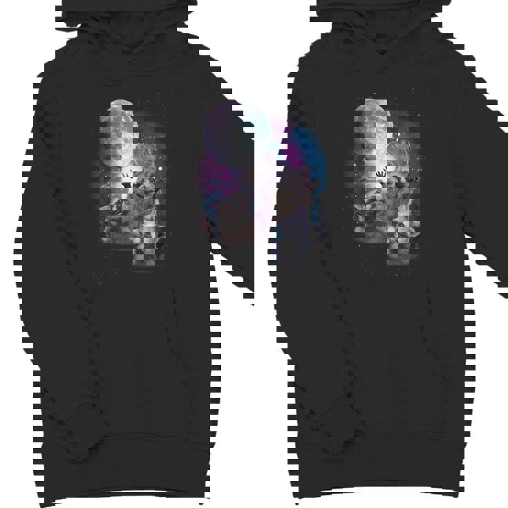 Raccoon Moonlight Howl Hoodie - Youth Unisex