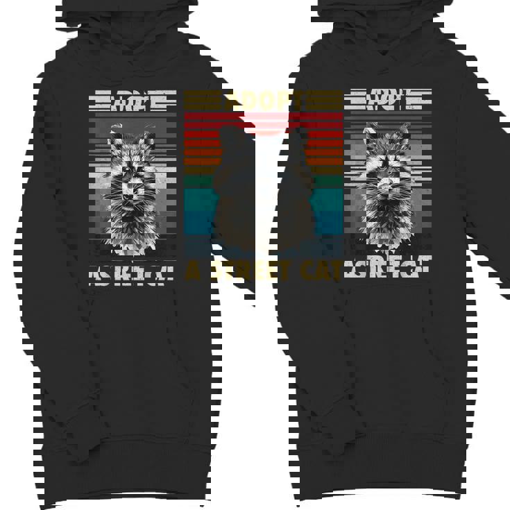 Raccoon Retro Hoodie - Unisex Youth Gift for Vintage Style Lovers