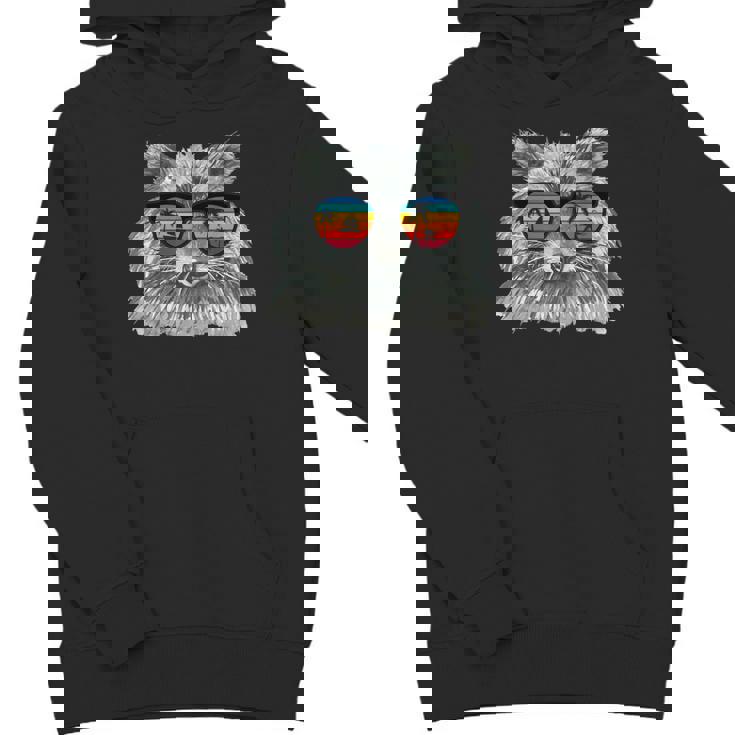 Raccoon Sunglasses Hoodie | Retro Style for Animal Lovers | Unisex Youth