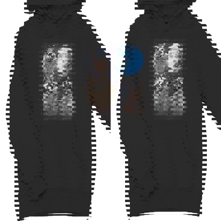Raccoon Unisex Youth Hoodie - Moonlit Howling Design