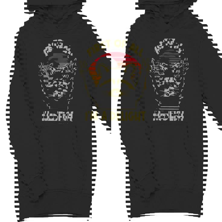Sarcastic Raccoon Lover Hoodie | Unisex Youth - Stylish & Fun