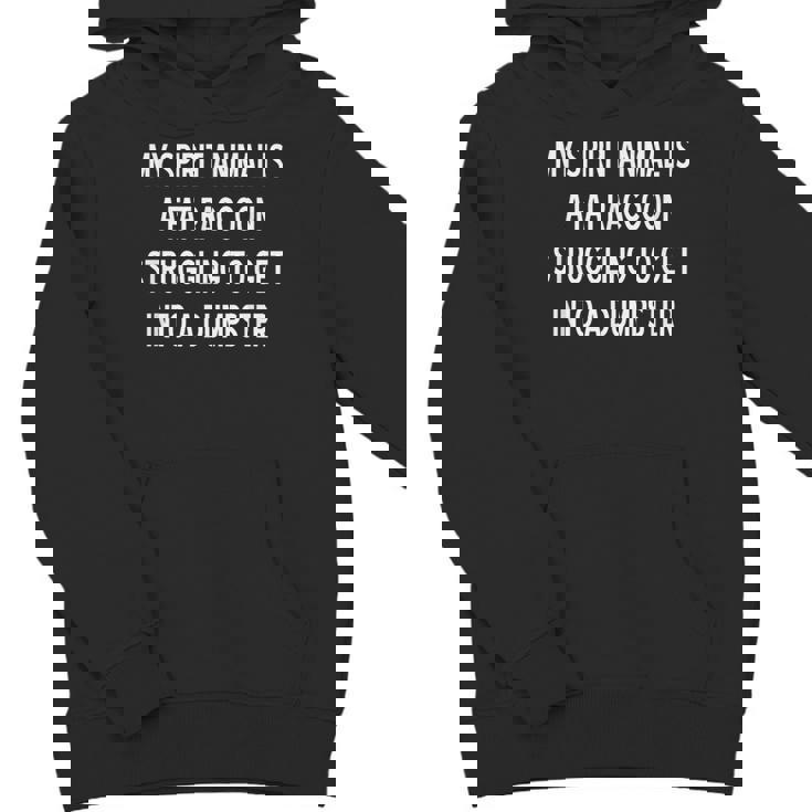 Sarcastic Raccoon Spirit Animal Unisex Youth Hoodie - Fun & Playful