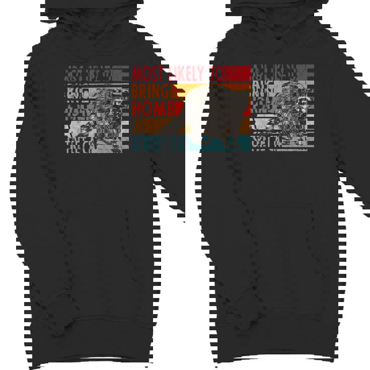 Street Cat Hoodie - Unisex Youth | Funny Raccoon Lovers Gift