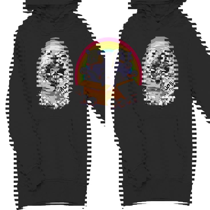 Vintage Adopt A Street Cat & Raccoon Unisex Youth Hoodie