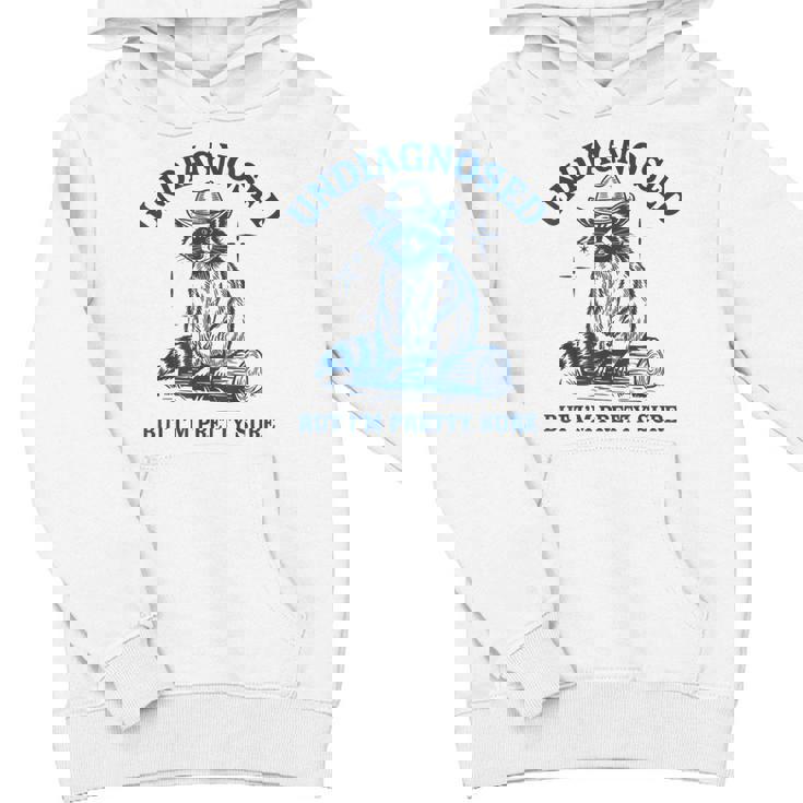 Cowboy Raccoon Meme Youth Hoodie - Fun Unisex Style for Young Fans