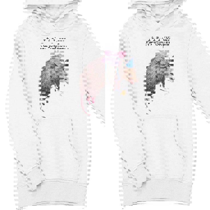 Fairy Godpossum Raccoon Trash Panda Unisex Youth Hoodie | Fun Design