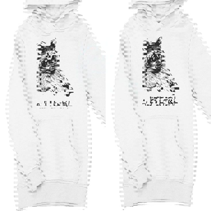 Raccoon Youth Hoodie - Feral Trash Panda Under Moon Theme