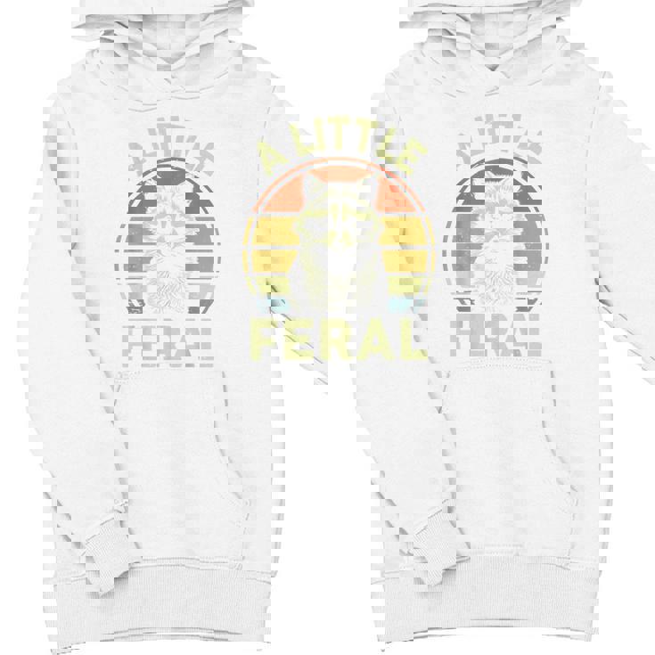 Retro Raccoon Cartoon Hoodie - Unisex Small Grey | Family Fun