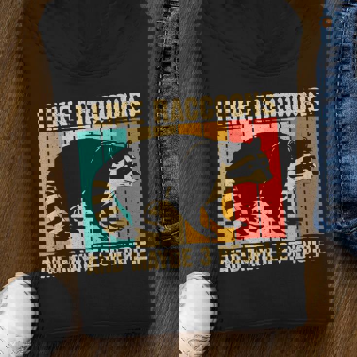 Raccoon For Men Women Raccoon Lover Introvert Unisex Youth Hoodie
