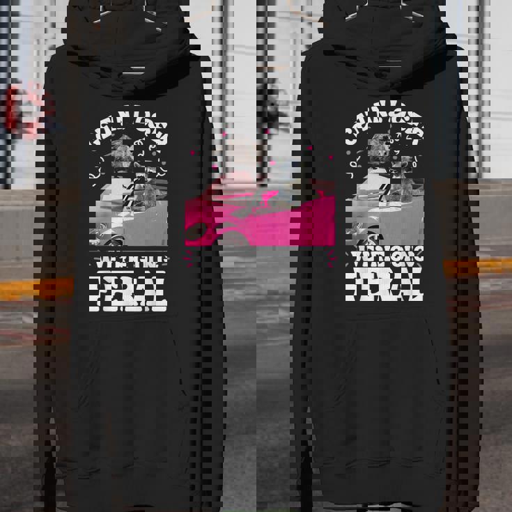 Get In Loser We're Going Feral Unisex Youth Hoodie - Raccoon Opossum Meme