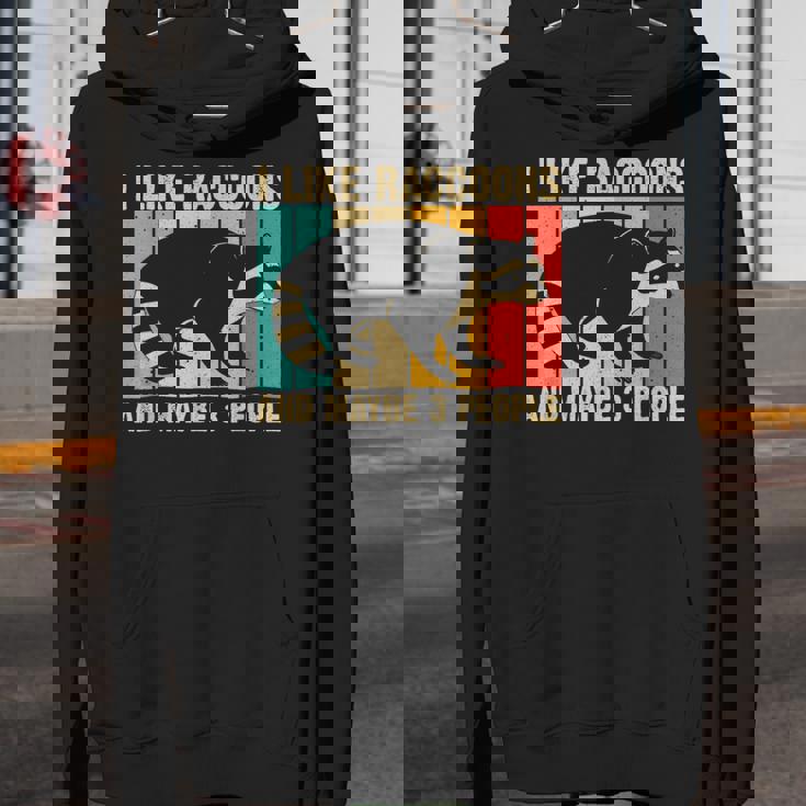 Raccoon For Men Women Raccoon Lover Introvert Unisex Youth Hoodie