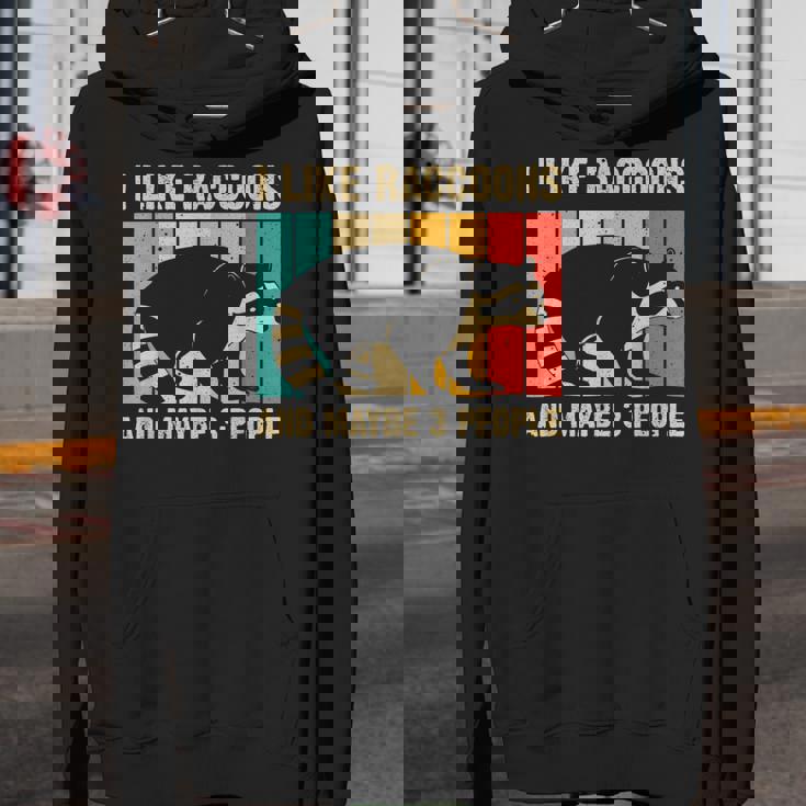 Raccoon For Men Women Raccoon Lover Introvert Unisex Youth Hoodie