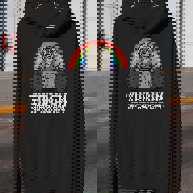 Raccoon Street Cat Hoodie | Fun Unisex Youth Wear for All Ages