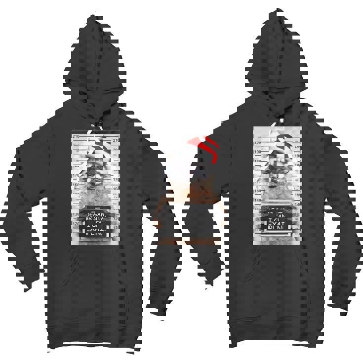 Christmas Raccoon Youth Hoodie - Dear Santa I Can Explain