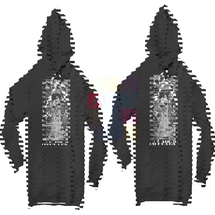 Feral Raccoon Meme Unisex Youth Hoodie - Fun Animal Print for Teens