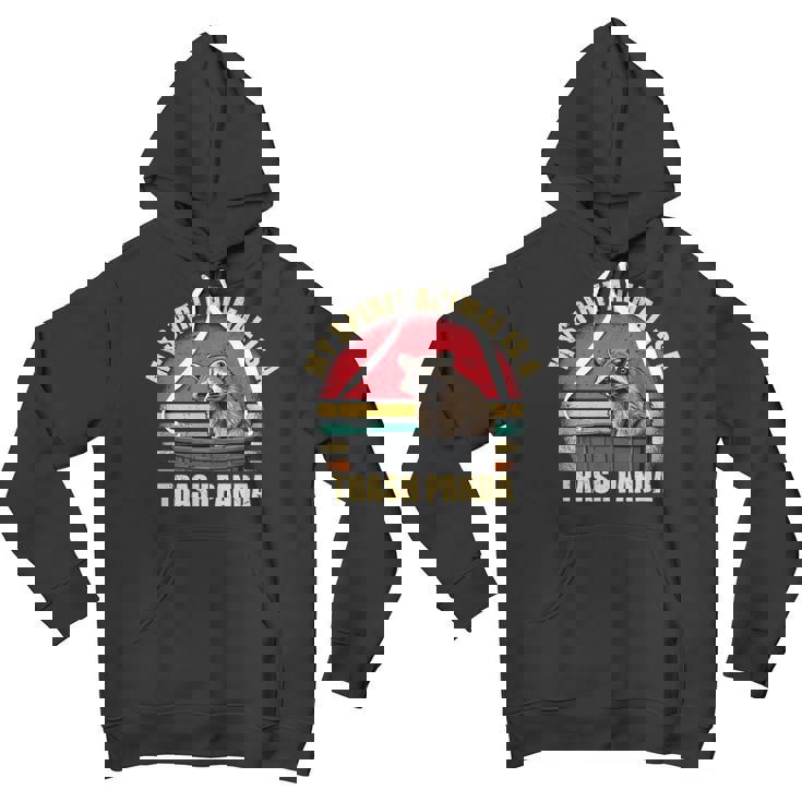 Raccoon Enthusiast Youth Hoodie - Trash Panda Spirit Animal