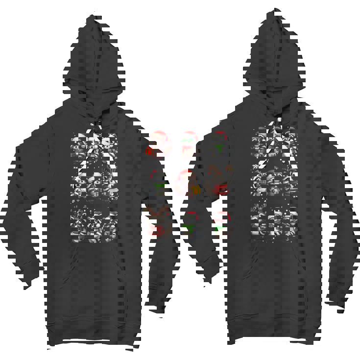 Raccoon Lover Christmas Hoodie - Unisex Youth Pajama Style