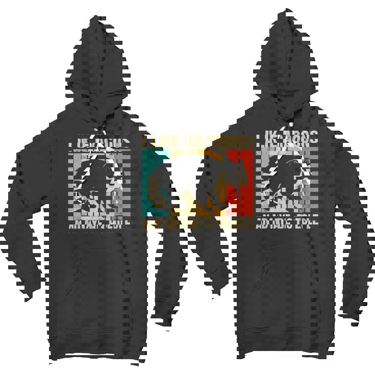 Raccoon For Men Women Raccoon Lover Introvert Unisex Youth Hoodie
