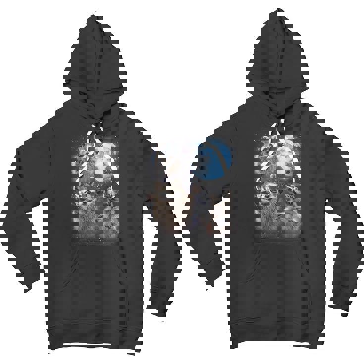 Raccoon Unisex Youth Hoodie - Moonlit Howling Design