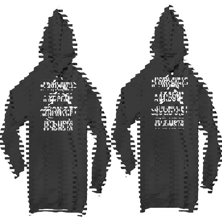 Sarcastic Raccoon Spirit Animal Unisex Youth Hoodie - Fun & Playful