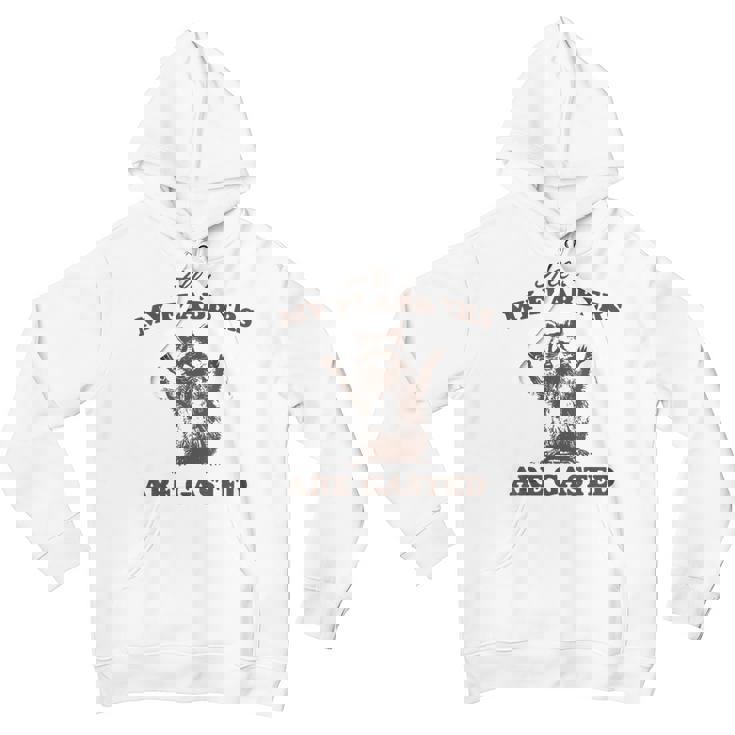 Flabbergasted Raccoon Unisex Youth Hoodie – Fun Animal Gift