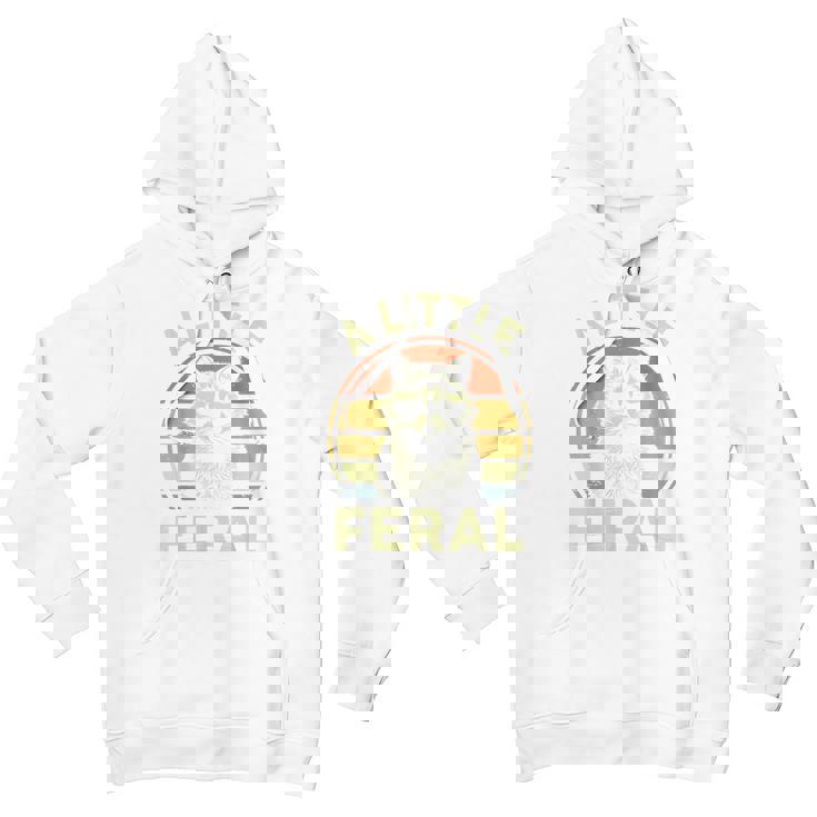 Raccoon Retro Hoodie - Grey Cartoon Graphic - For Enthusiasts & Families