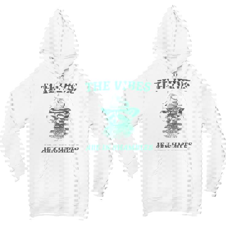 Sarcastic Raccoon Cowboy Youth Hoodie - Unique Unisex Fun