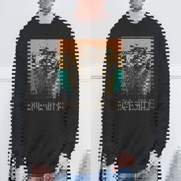 Adopt A Street Cat Animal Lover Sweatshirt | Artistic Touch Gifts for Old Men