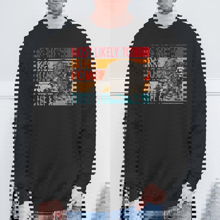 Adopt a Street Cat Sweatshirt - Funny Design for Raccoon Lovers Gifts for Old Men