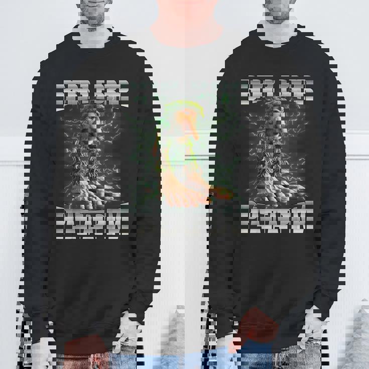 Brr Brr Patapim Sweatshirt Gifts for Old Men