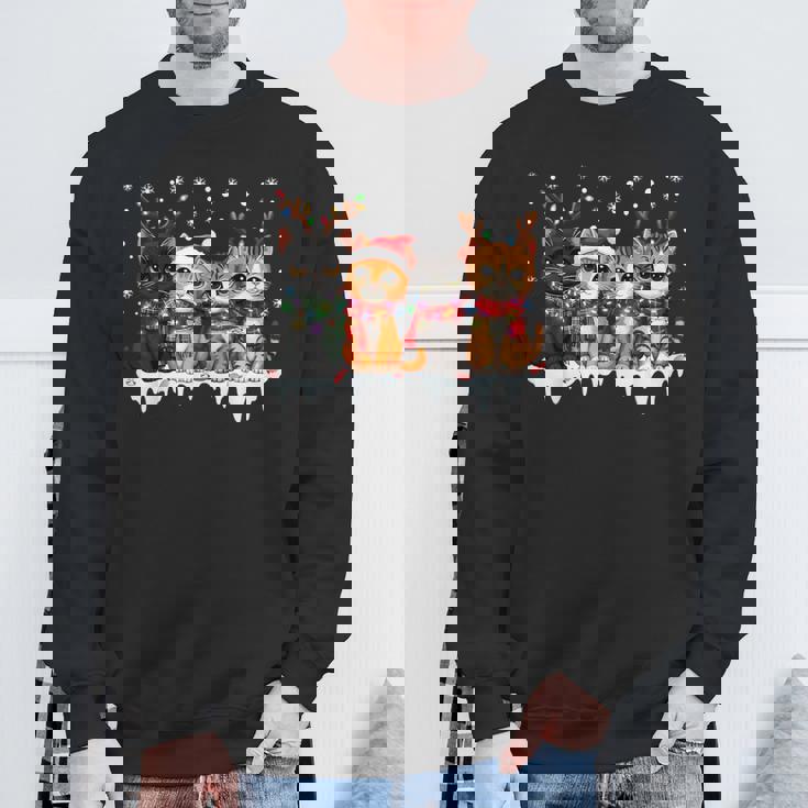 Cat Christmas Light Reindeer Santa Christmas Cat Lover Sweatshirt Gifts for Old Men