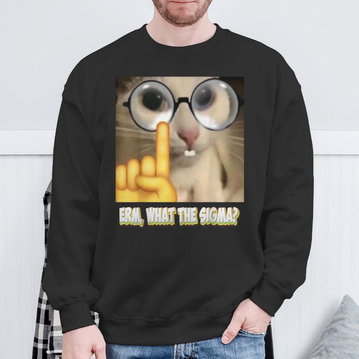 Cat Ehm Was Zum Sigma Cat Meme Sweatshirt Geschenke für alte Männer