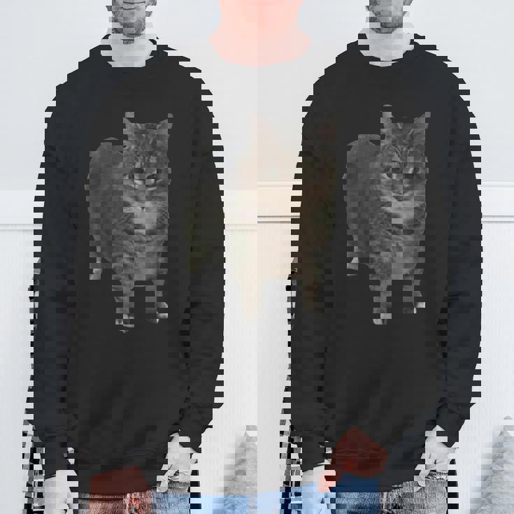 Oiia Oiia Spinning Cat Meme Sweatshirt - Seseable