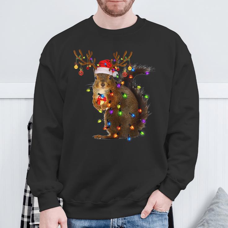 Squirrel Christmas Tree Lights Reindeer Christmas Sweatshirt Geschenke für alte Männer