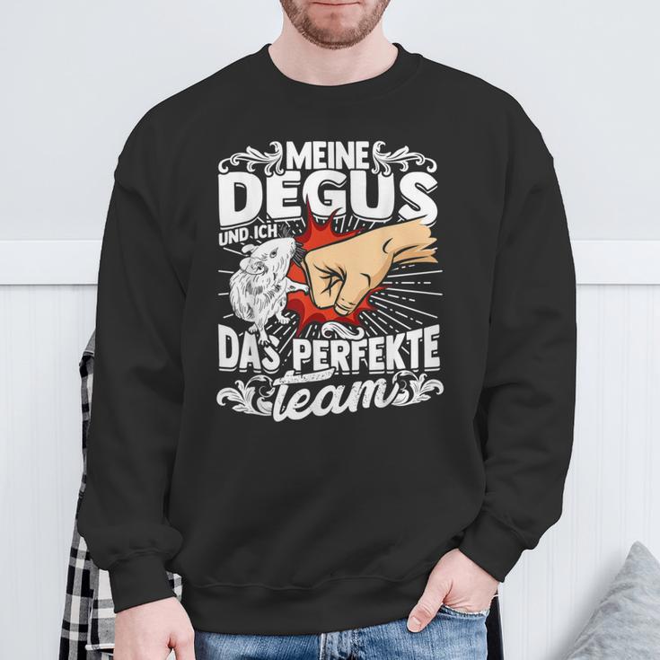 Meine Degus And Ich Das Perfekte Team Shrauchrat Degu Sweatshirt Geschenke für alte Männer