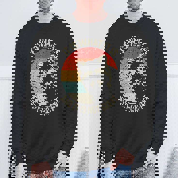 It Is What It Is And It Is Not Great Raccoon Vintage Sweatshirt Gifts for Old Men