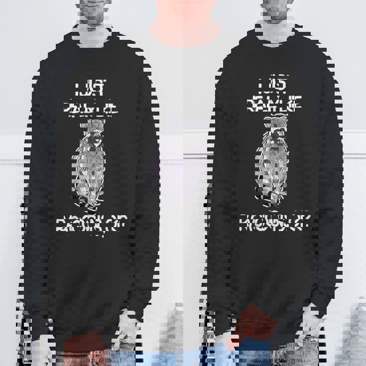 Raccoon Lover Sweatshirt – Cozy Wildlife-Inspired Apparel Gifts for Old Men