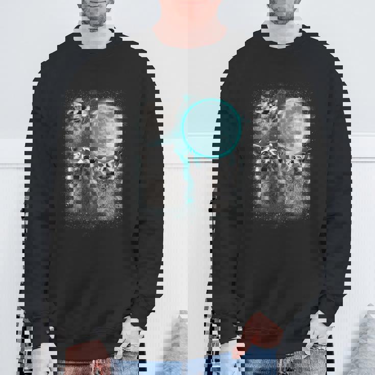 Raccoon Sweatshirt - Quirky Moonlit Trio Howl Design - Unisex Gifts for Old Men
