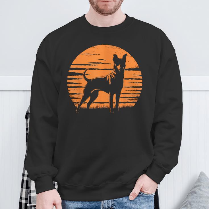 Retrointage Working Kelpie Dog Sweatshirt Geschenke für alte Männer