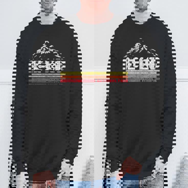 Vintage Big Bend National Park Texas Souvenir Retro Lines Sweatshirt Gifts for Old Men