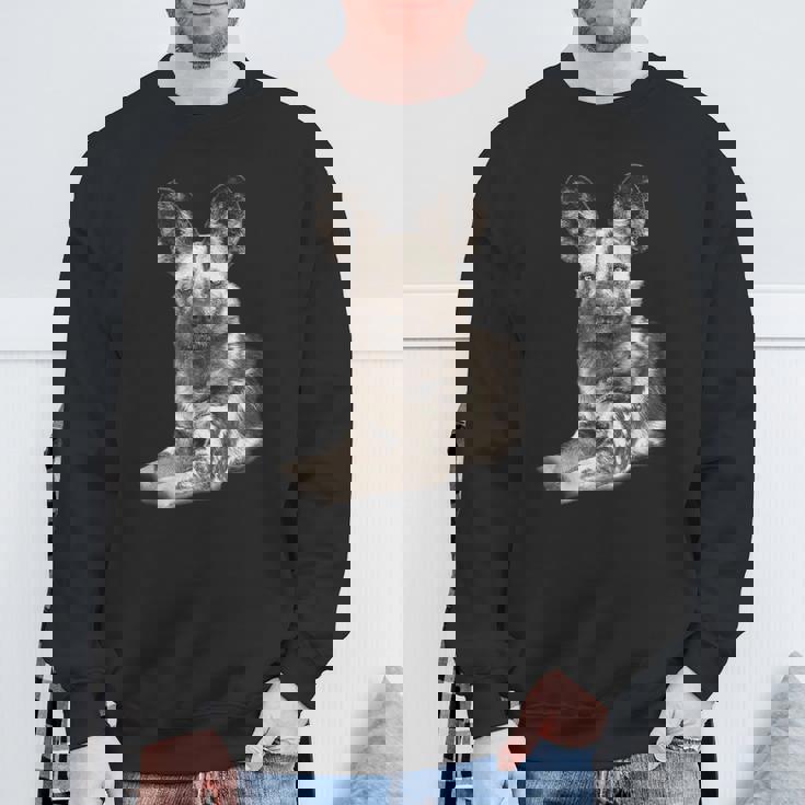 Wild Dog Making Eye Contact For Wild Dog Fans Sweatshirt Gifts for Old Men