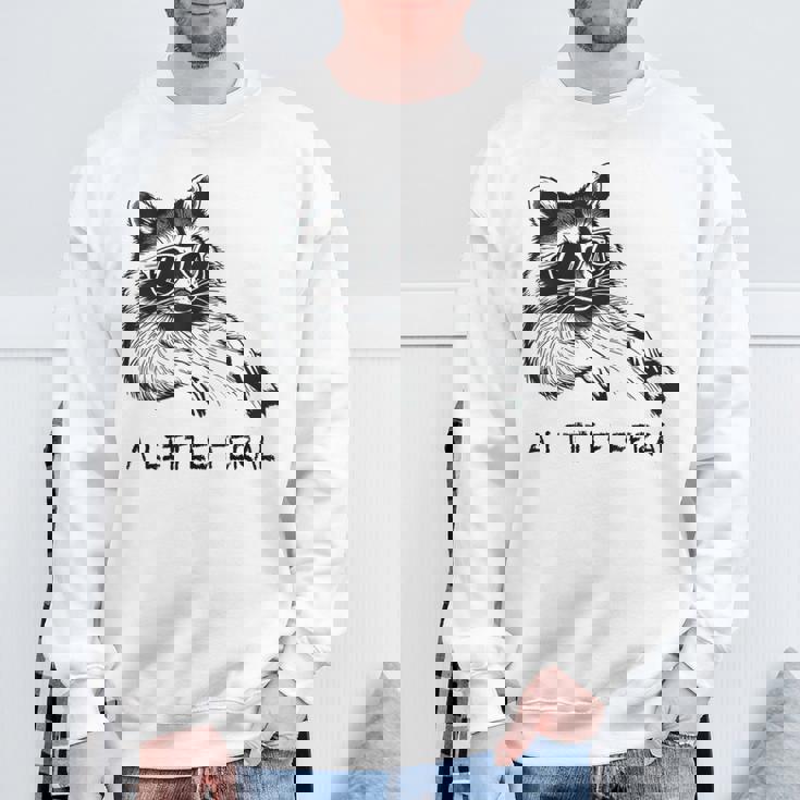 A Little Feral Raccoon With Moon Animal Raccoon Trash Panda Sweatshirt Gifts for Old Men