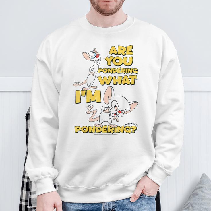 Pinky And The Brain Pondering Gray Sweatshirt Geschenke für alte Männer