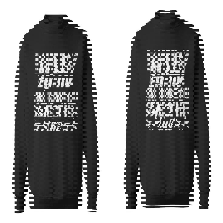 I Am Busy Right Now Can I Ignore You Some Other Time Sweatshirt