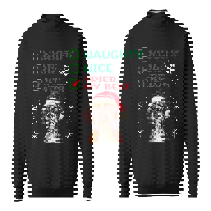 Cute Boxer Dog Dog Christmas Naughty Nice Tried My Best Sweatshirt