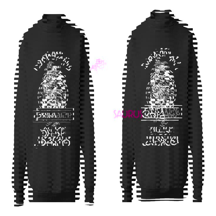 Dinosaur Don't Mess Grandmasaurus Women's Dinosaur Theme Black Small Sweatshirt