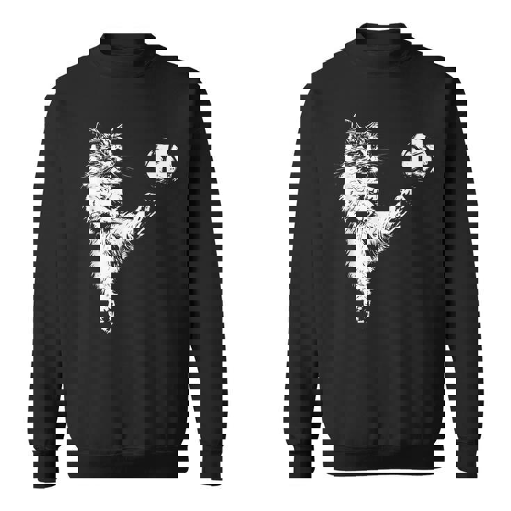 Cat Soccer Ball Graphic Sweatshirt
