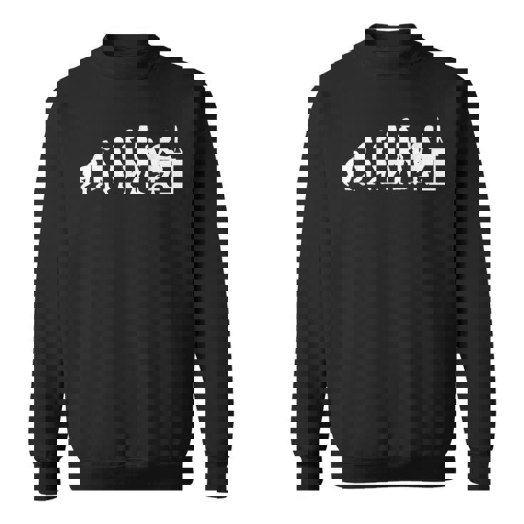 Gamer Evolution Gaming Programmer Gamer Sweatshirt