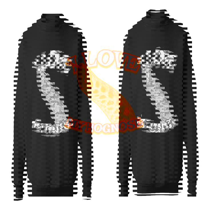 Hognose Snake T Shirt For Pet Western Hoggy Reptiles Sweatshirt