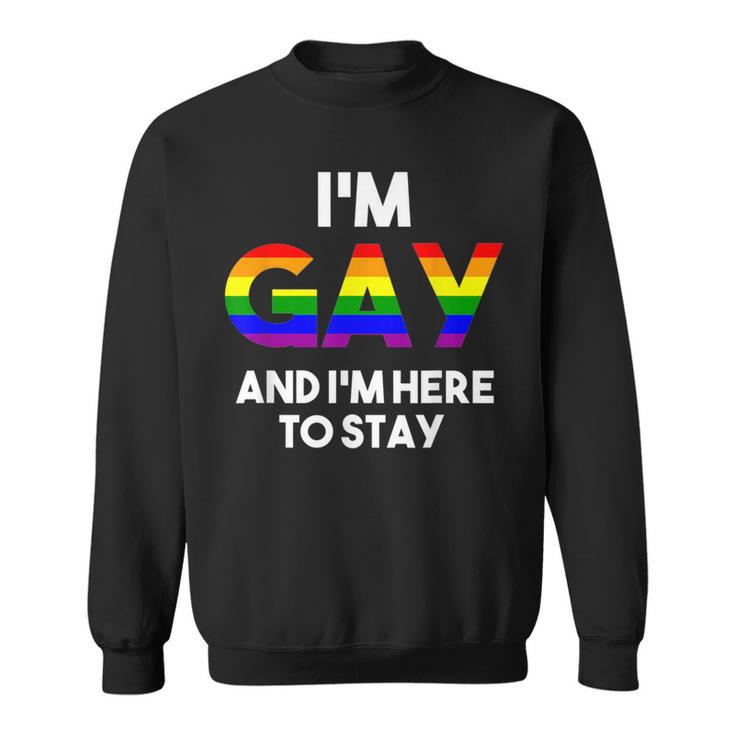 I'm Gay And I'm Proud Gay Boyfriend LGBTQ Rainbow Flag Sweatshirt